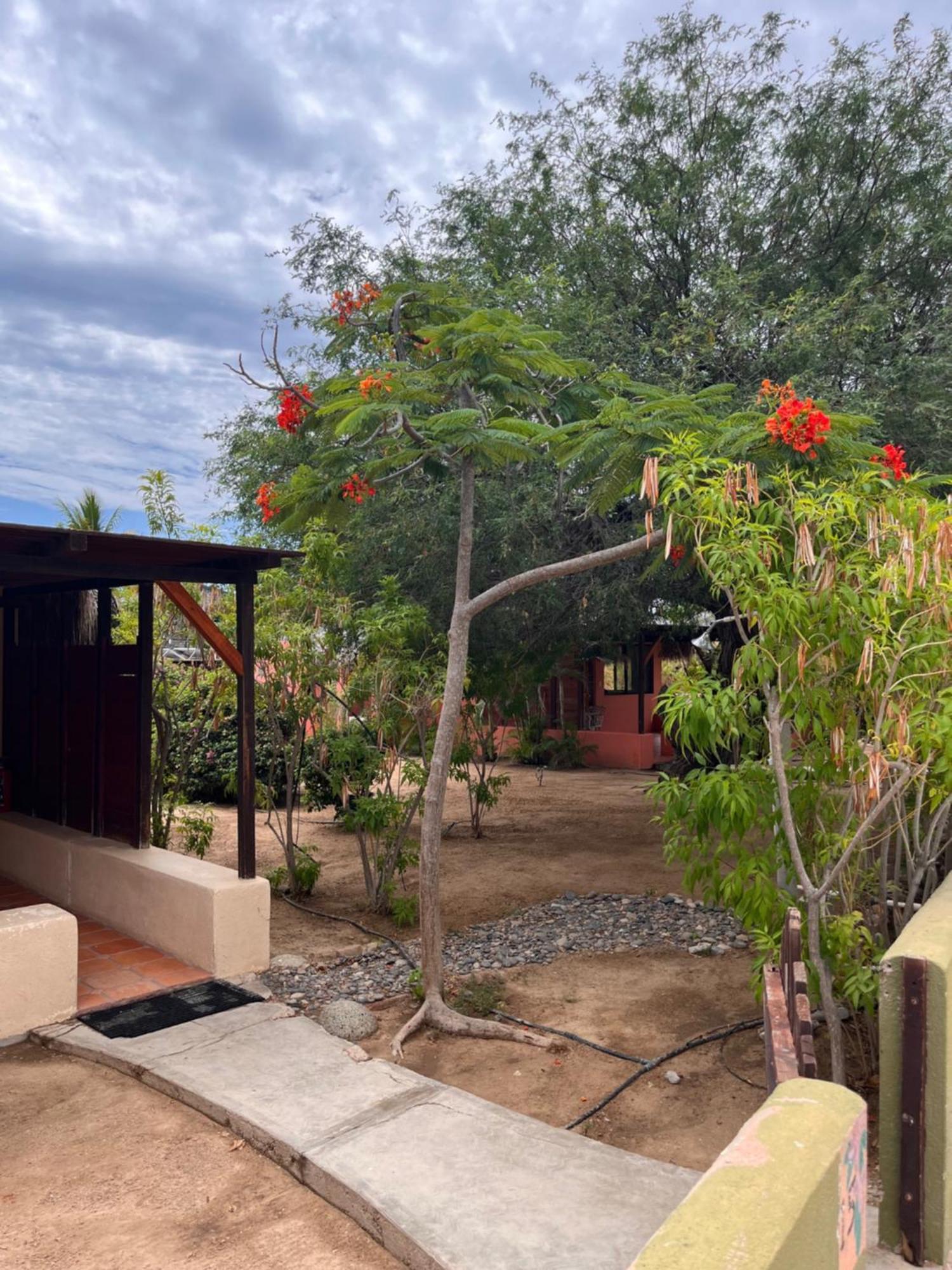 Cabo Pulmo Beach Resort Экстерьер фото